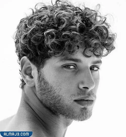 حلاقة قصات شعر كيرلي للرجال