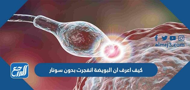 كيف اعرف ان البويضة انفجرت بدون سونار