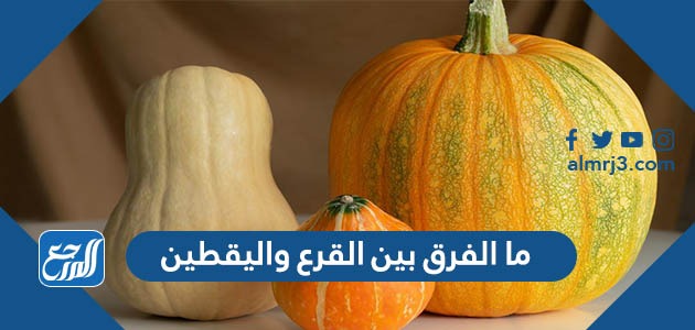 ما الفرق بين القرع واليقطين؟