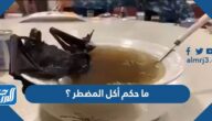 ما حكم أكل المضطر ؟