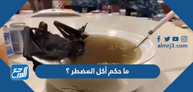 ما حكم أكل المضطر ؟