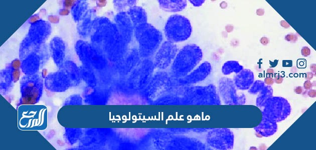 ما هو علم السيتولوجيا