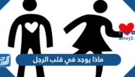 ماذا يوجد في قلب الرجل