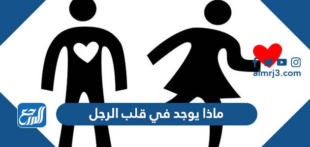 ماذا يوجد في قلب الرجل