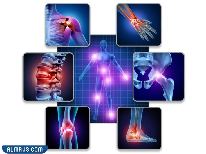 ماهو اكبر مفصل في جسم الانسان