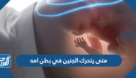 متى يتحرك الجنين في بطن امه متى يتحرك الجنين في بطن امه
