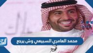 محمد العامري السبيعي وش يرجع