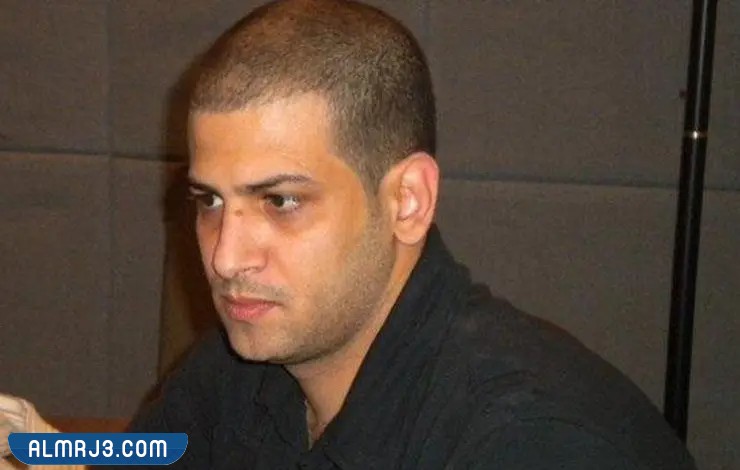 مدحت خميس السيرة الذاتية