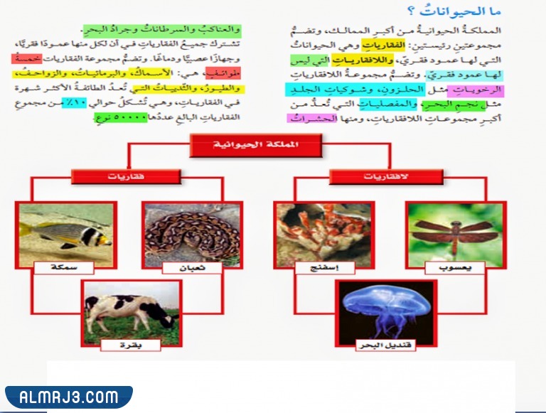 مطويات علوم رابع ابتدائي عن أجهزة أجسام الحيوانات