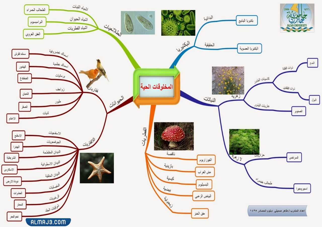 مطوية احياء اول ثانوي جاهزة للطباعة