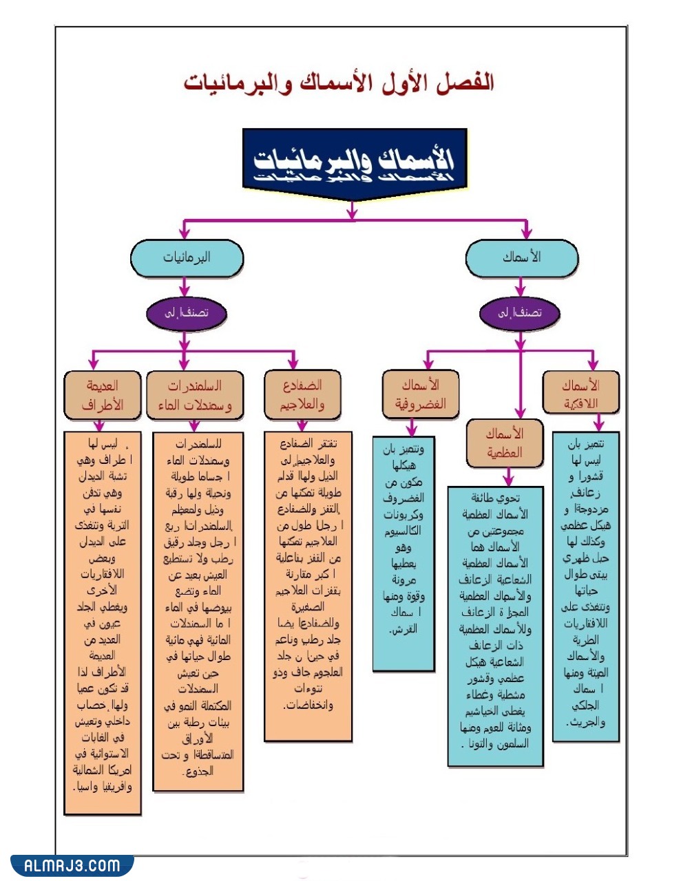 مطوية احياء اول ثانوي جاهزة للطباعة