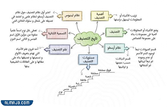مطوية احياء اول ثانوي جاهزة للطباعة
