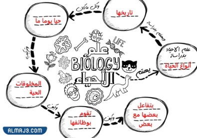 مطوية احياء اول ثانوي جاهزة للطباعة