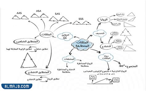 مطوية احياء اول ثانوي جاهزة للطباعة