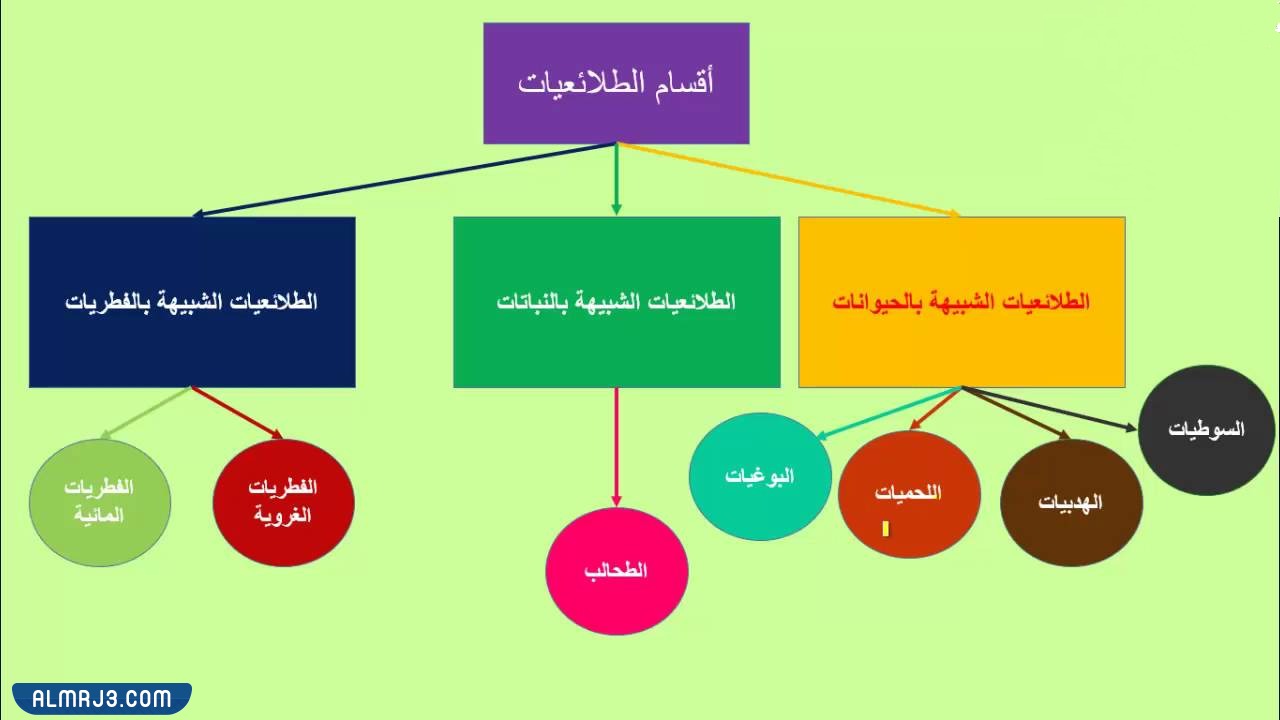 مطوية احياء اول ثانوي جاهزة للطباعة (5)