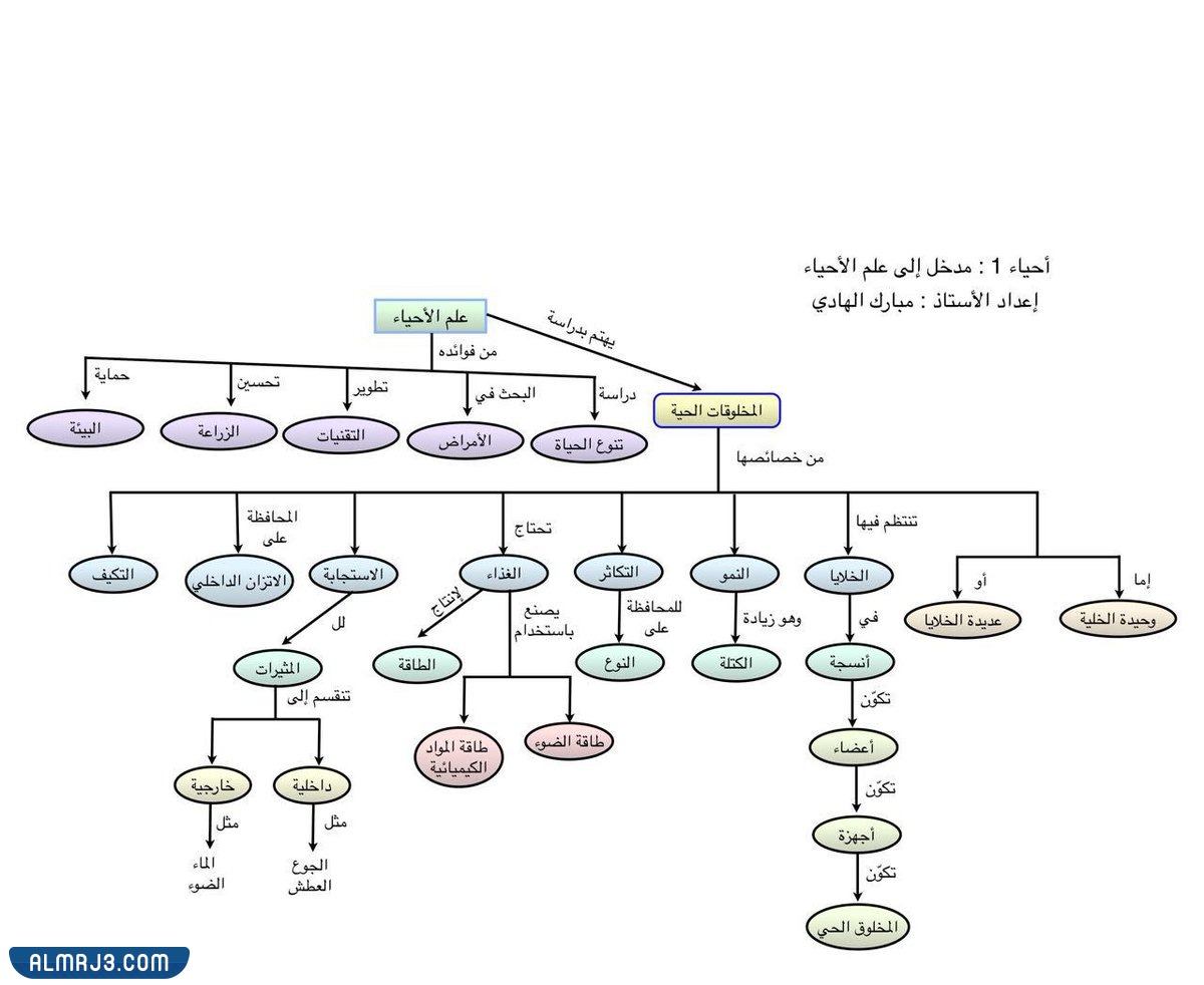 مطوية احياء اول ثانوي جاهزة للطباعة