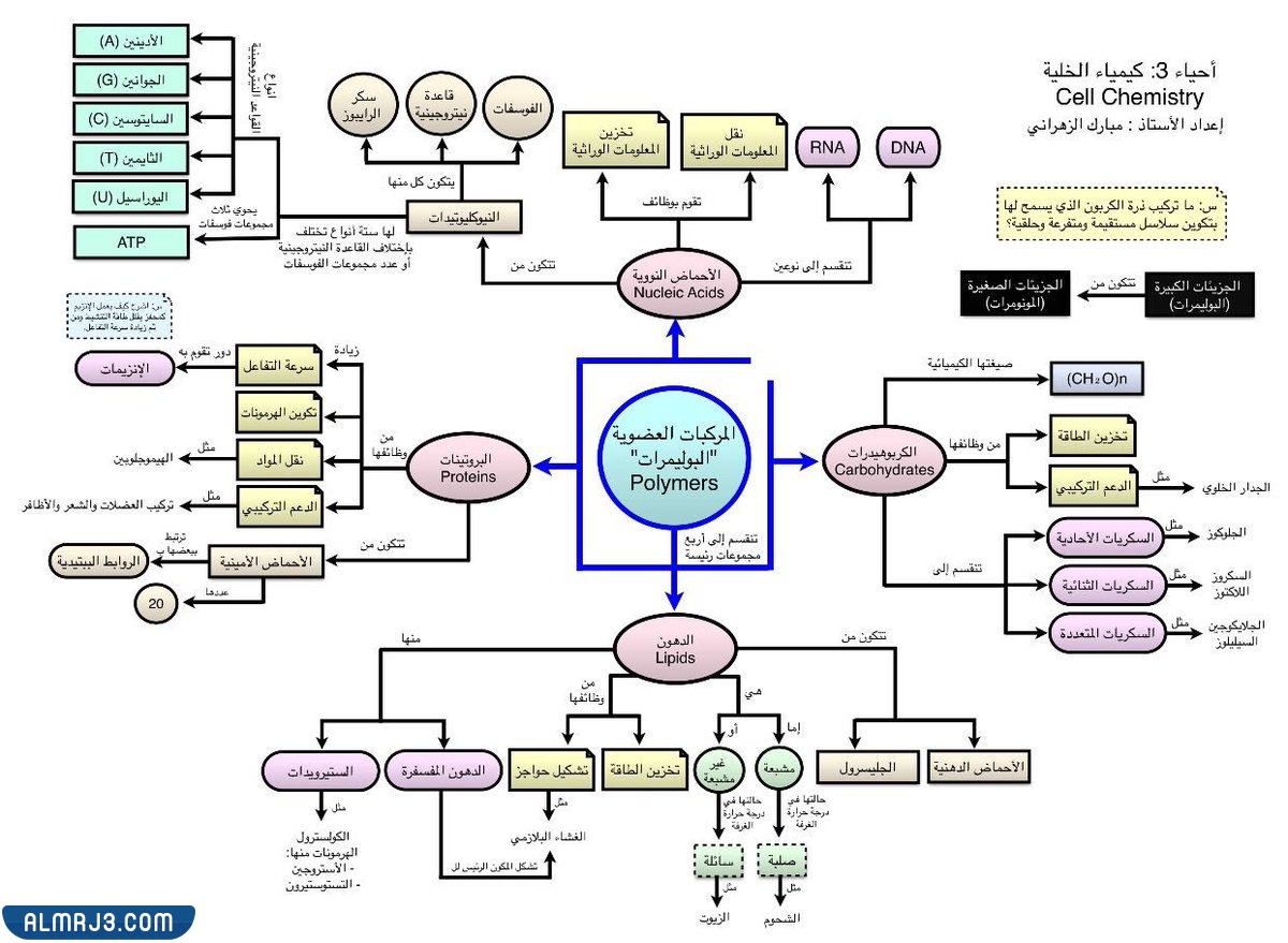 مطوية احياء اول ثانوي جاهزة للطباعة