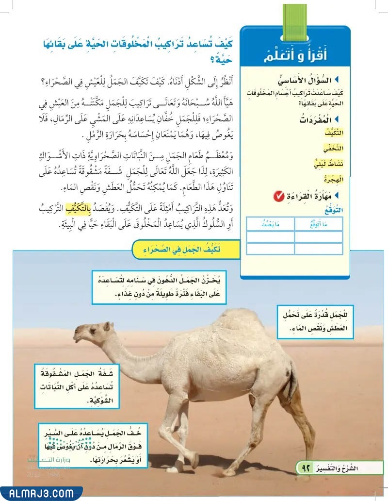 مطوية التكيف ثالث ابتدائي 
