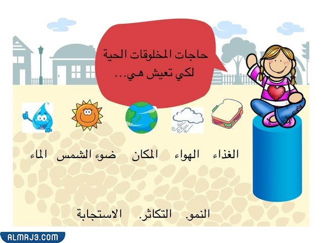 مطوية التكيف ثالث ابتدائي 