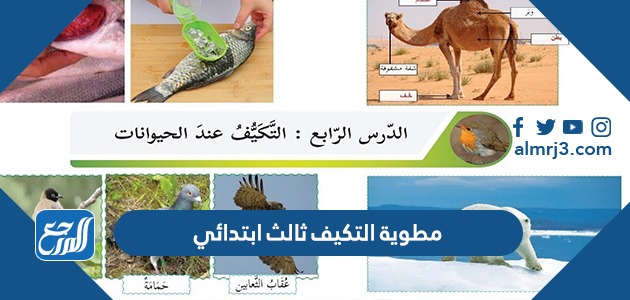 مطوية التكيف ثالث ابتدائي pdf