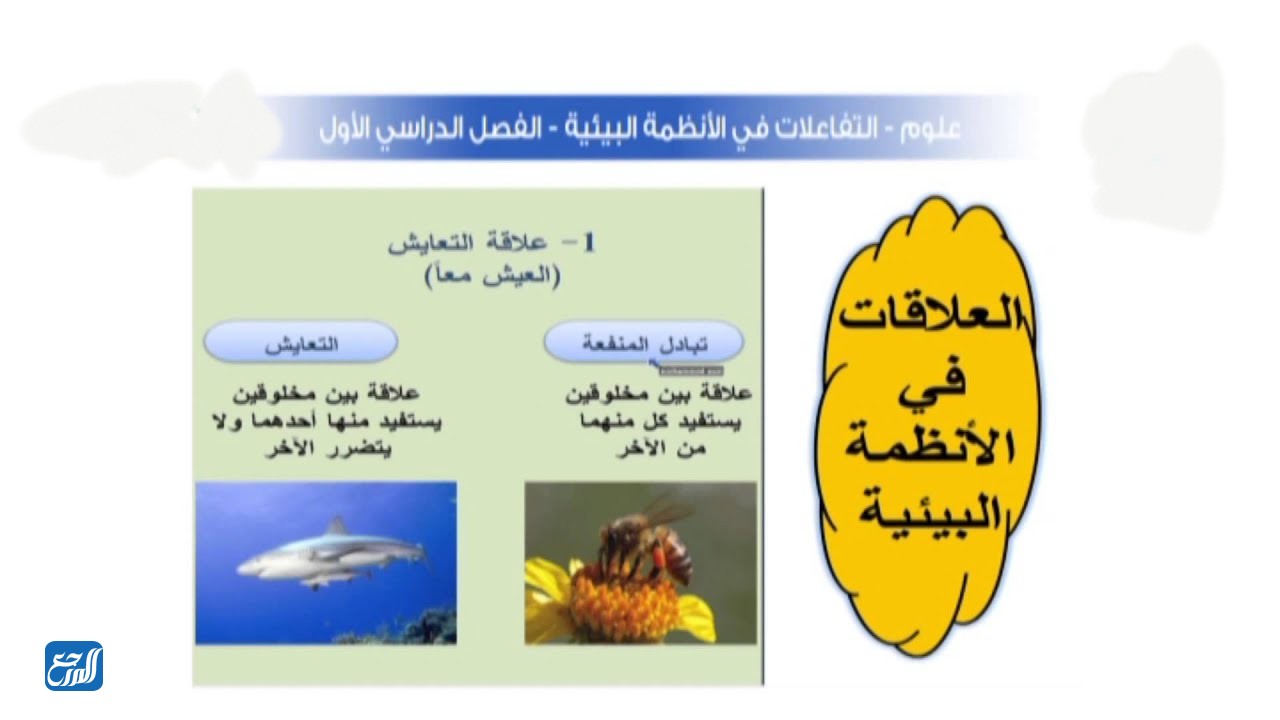 مطوية العلاقات في الانظمة البيئية