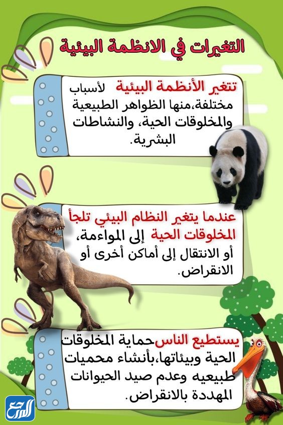 مطوية العلاقات في الانظمة البيئية