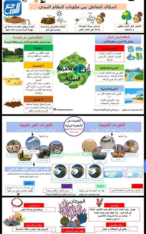 مطوية العلاقات في الانظمة البيئية
