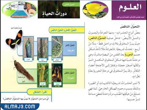 مطوية العلوم دورة حياة الحيوانات