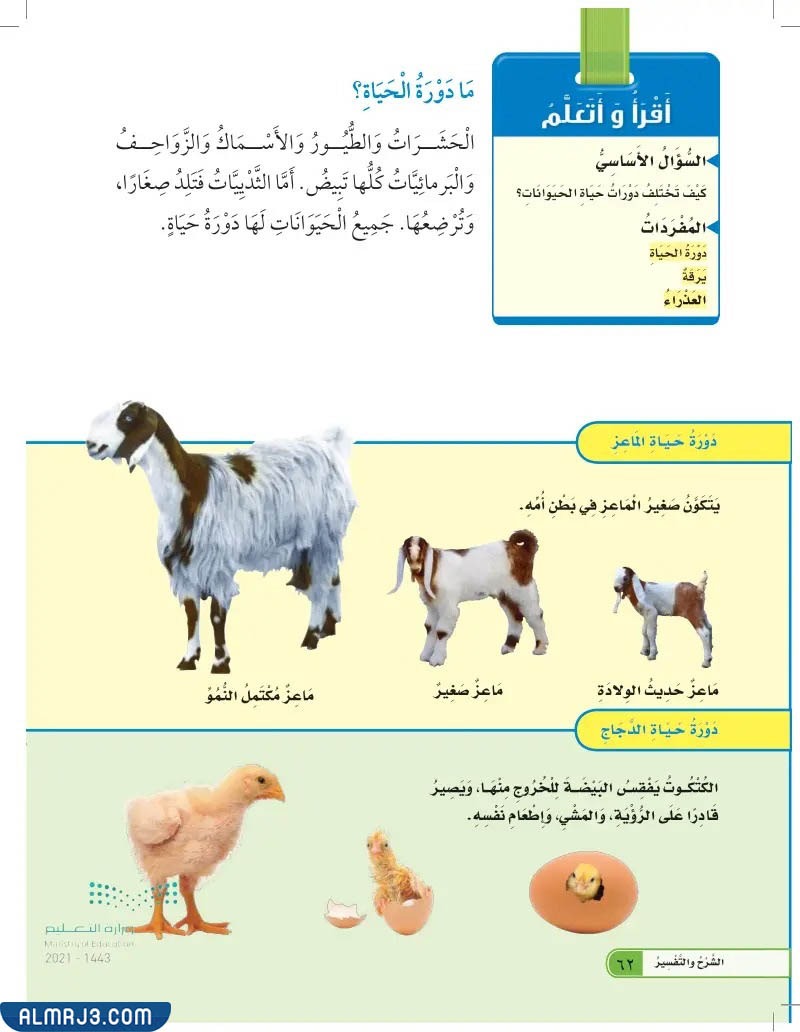 مطوية العلوم دورة حياة الحيوانات