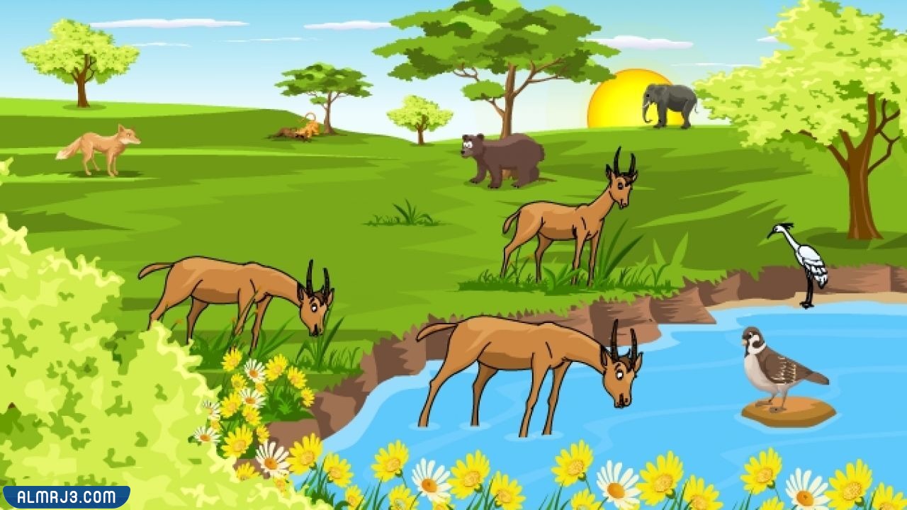 مطوية علوم الصف الثالث للنظام البيئي جاهزة