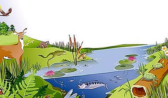 مطوية علوم الصف الثالث للنظام البيئي جاهزة