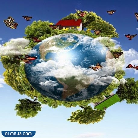 مطوية علوم الصف الثالث للنظام البيئي جاهزة