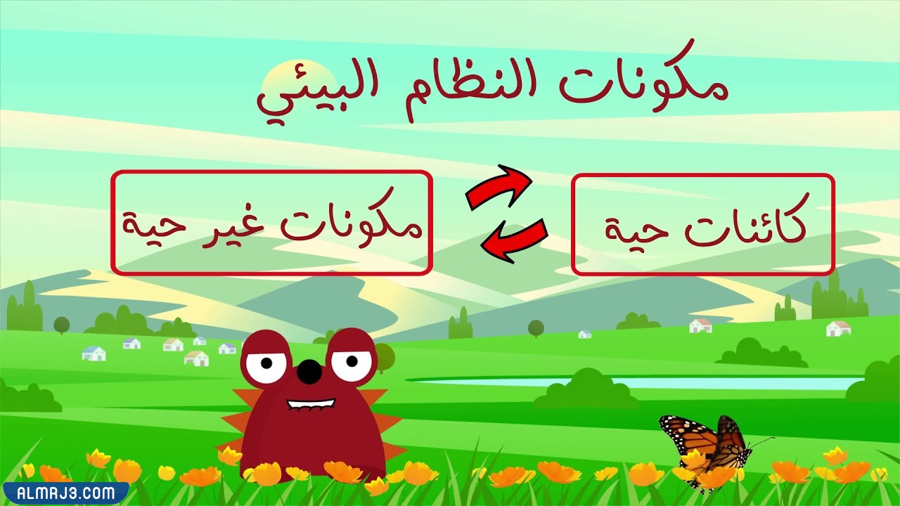 مطوية علوم ثالث ابتدائي النظام البيئي