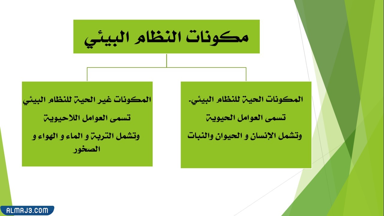 مطوية علوم ثالث ابتدائي النظام البيئي