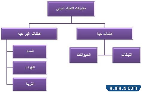 مطوية علوم ثالث ابتدائي النظام البيئي