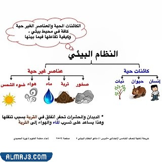 مطوية علوم ثالث ابتدائي النظام البيئي
