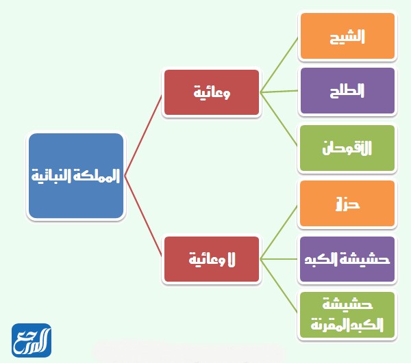 مطوية علوم خامس ابتدائي