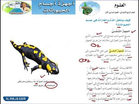 مطوية عن اجهزة اجسام الحيوانات