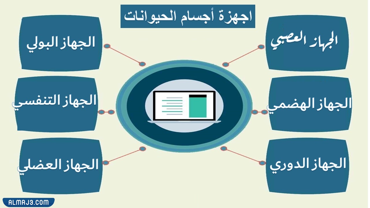 مطوية عن اجهزة اجسام الحيوانات جاهزة للطباعة