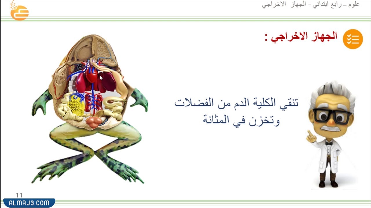 مطوية عن اجهزة اجسام الحيوانات جاهزة للطباعة