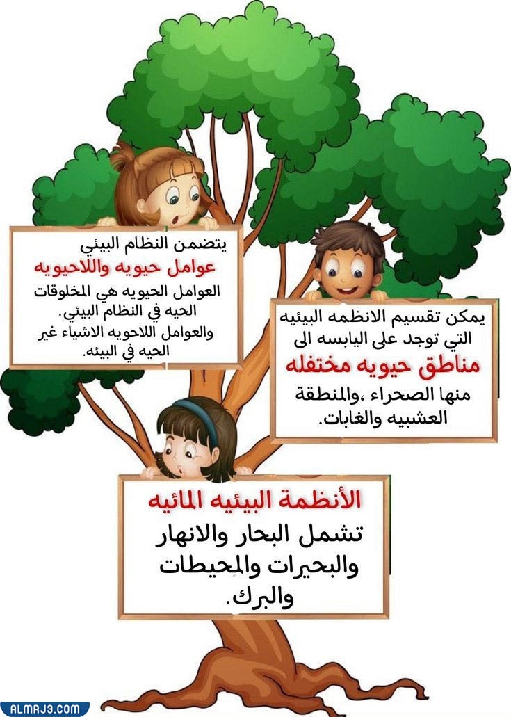 مطوية عن الأنظمة البيئية للصف الرابع