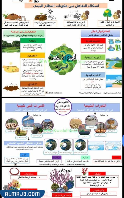 مطوية عن الأنظمة البيئية للصف الرابع