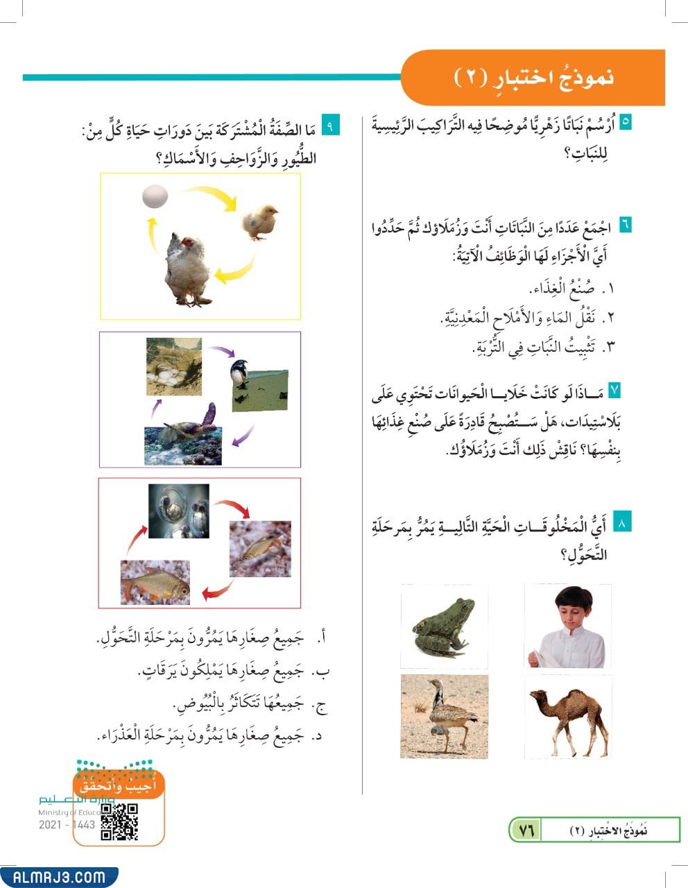 مطوية عن دورة حياة الحيوانات