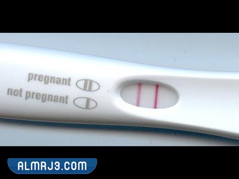 معنى خطين في اختبار الحمل أحدهما ثقيل والآخر خفيف