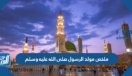 ملخص مولد الرسول صلى الله عليه وسلم