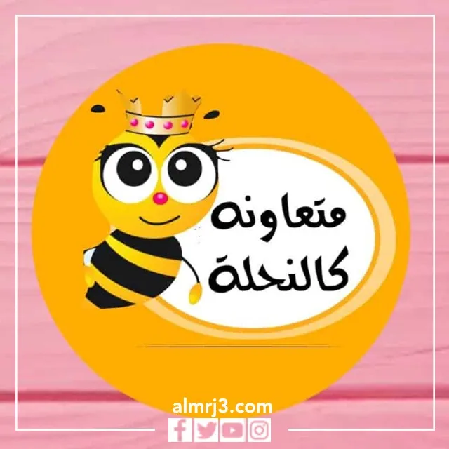 بطاقات تشجيعية للطالبات المتميزات