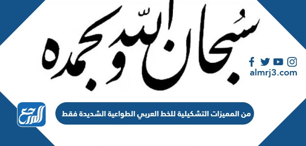 من المميزات التشكيلية للخط العربي الطواعية الشديدة فقط