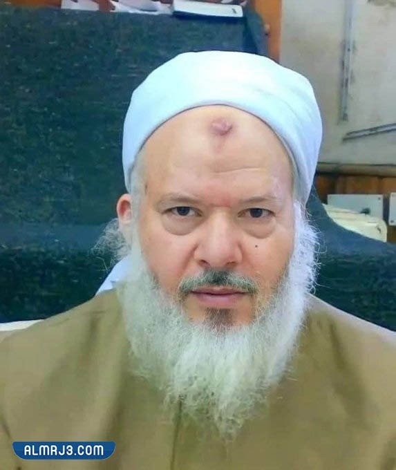 من هو أسامة عبد العظيم ويكيبيديا