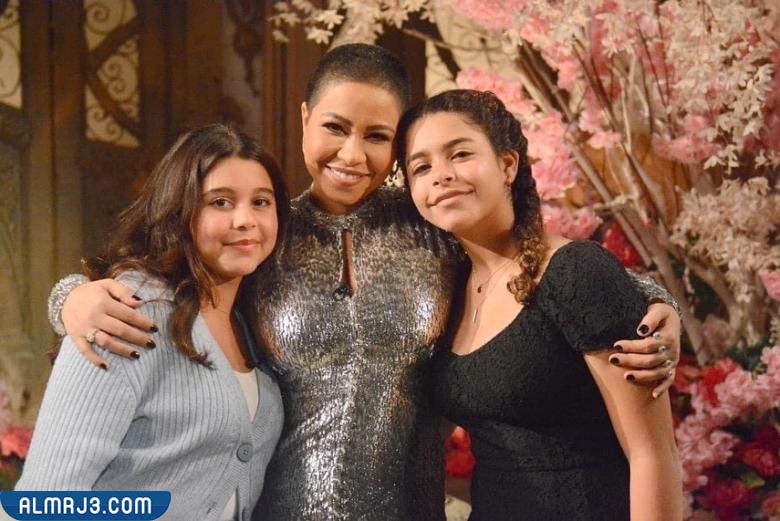 من هو زوج شيرين عبد الوهاب أبو البنات