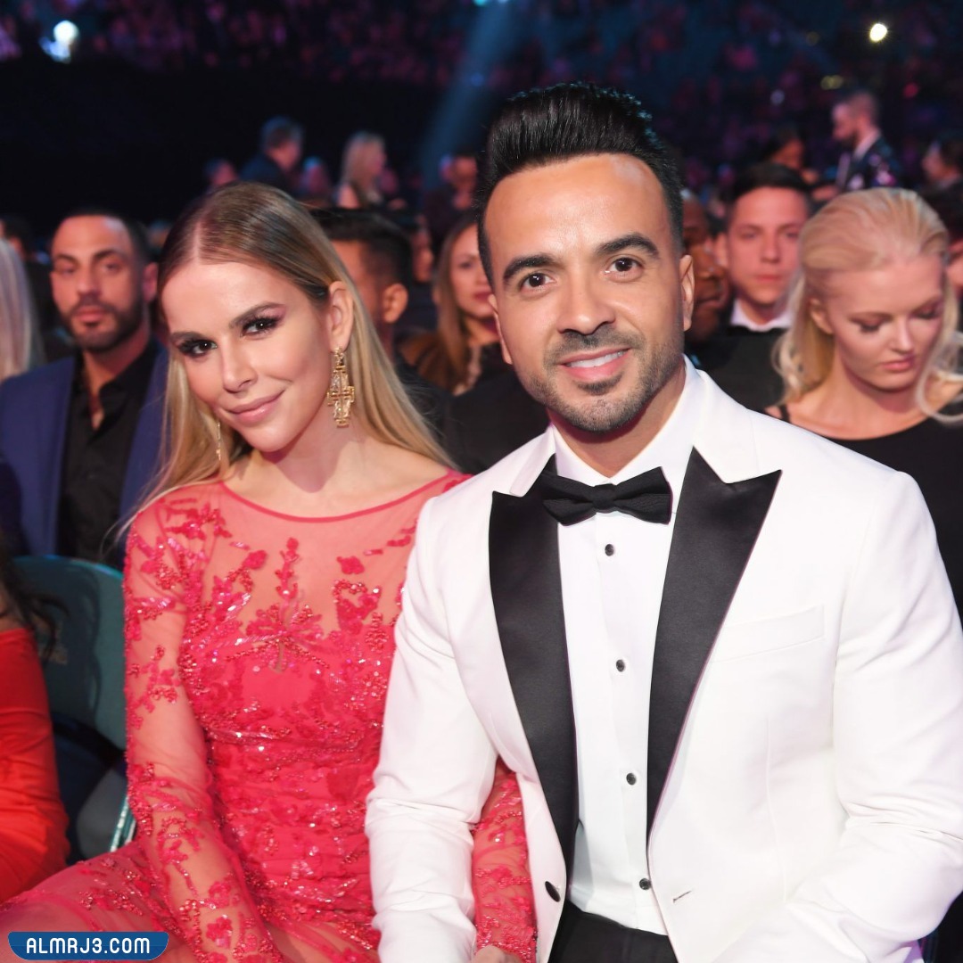 لويس فونسي السيرة الذاتية